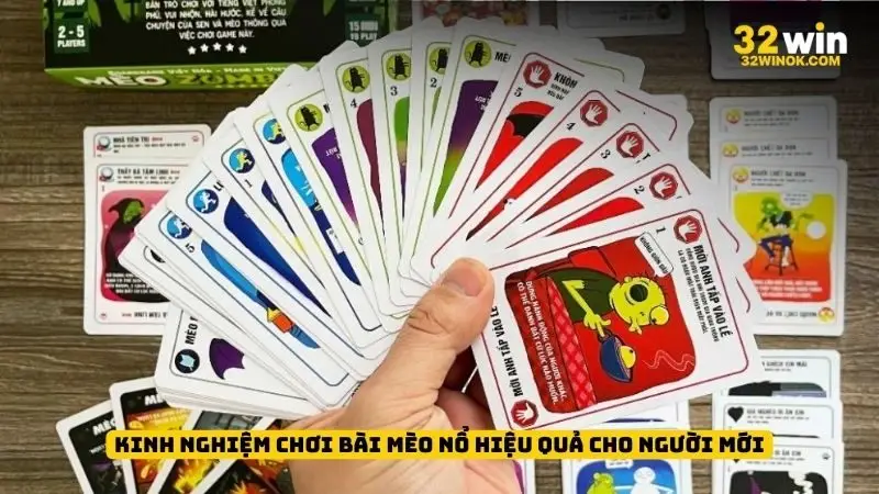 Kinh nghiệm chơi bài mèo nổ hiệu quả cho người mới